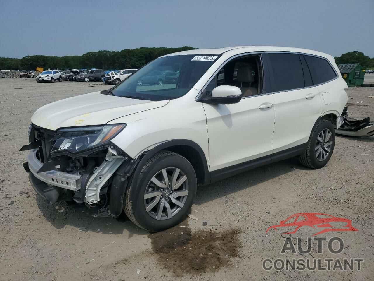 HONDA PILOT 2019 - 5FNYF6H58KB074047