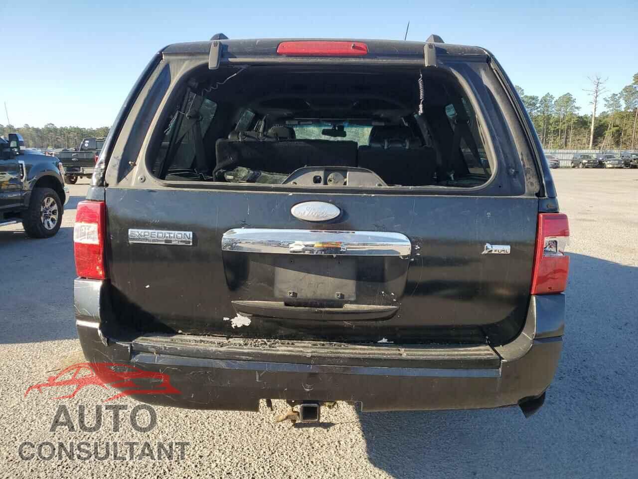 FORD EXPEDITION 2009 - 1FMFK20559LA09845