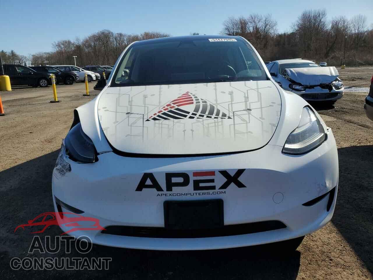 TESLA MODEL Y 2023 - 7SAYGDEEXPF805061