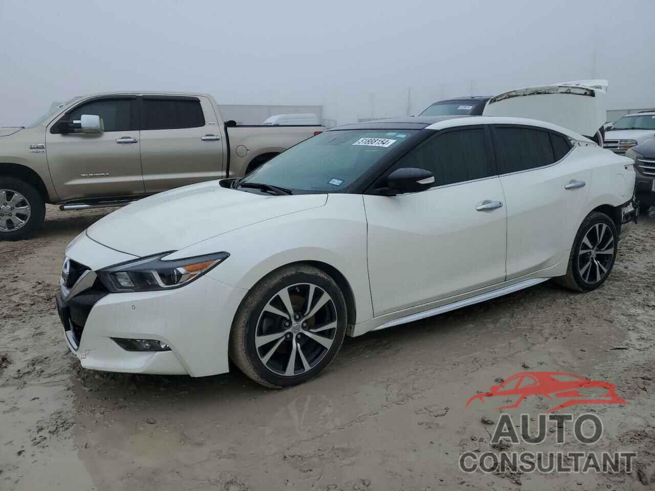 NISSAN MAXIMA 2016 - 1N4AA6AP2GC900669