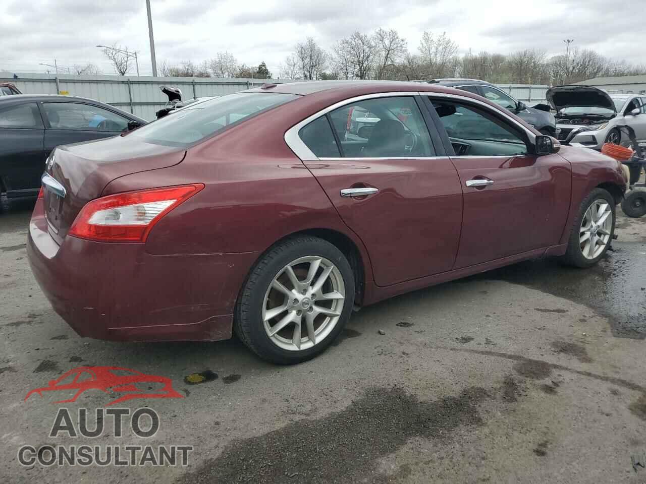NISSAN MAXIMA 2011 - 1N4AA5AP1BC855548