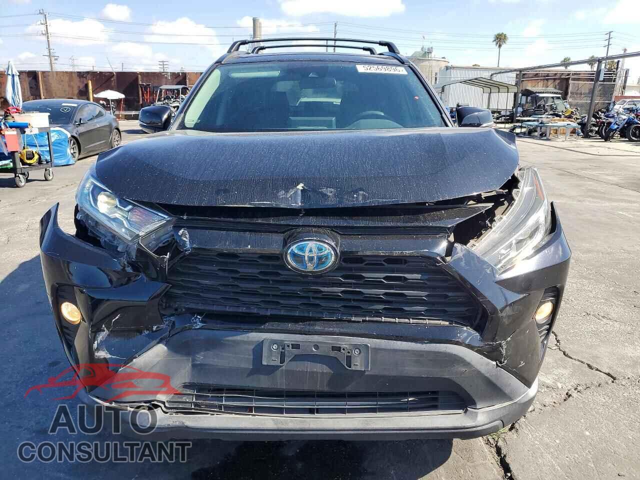 TOYOTA RAV4 2019 - 2T3RWRFV9KW043473
