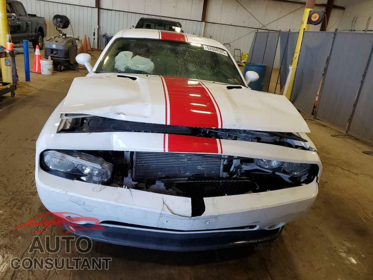 DODGE CHALLENGER 2013 - 2C3CDYAG0DH595496