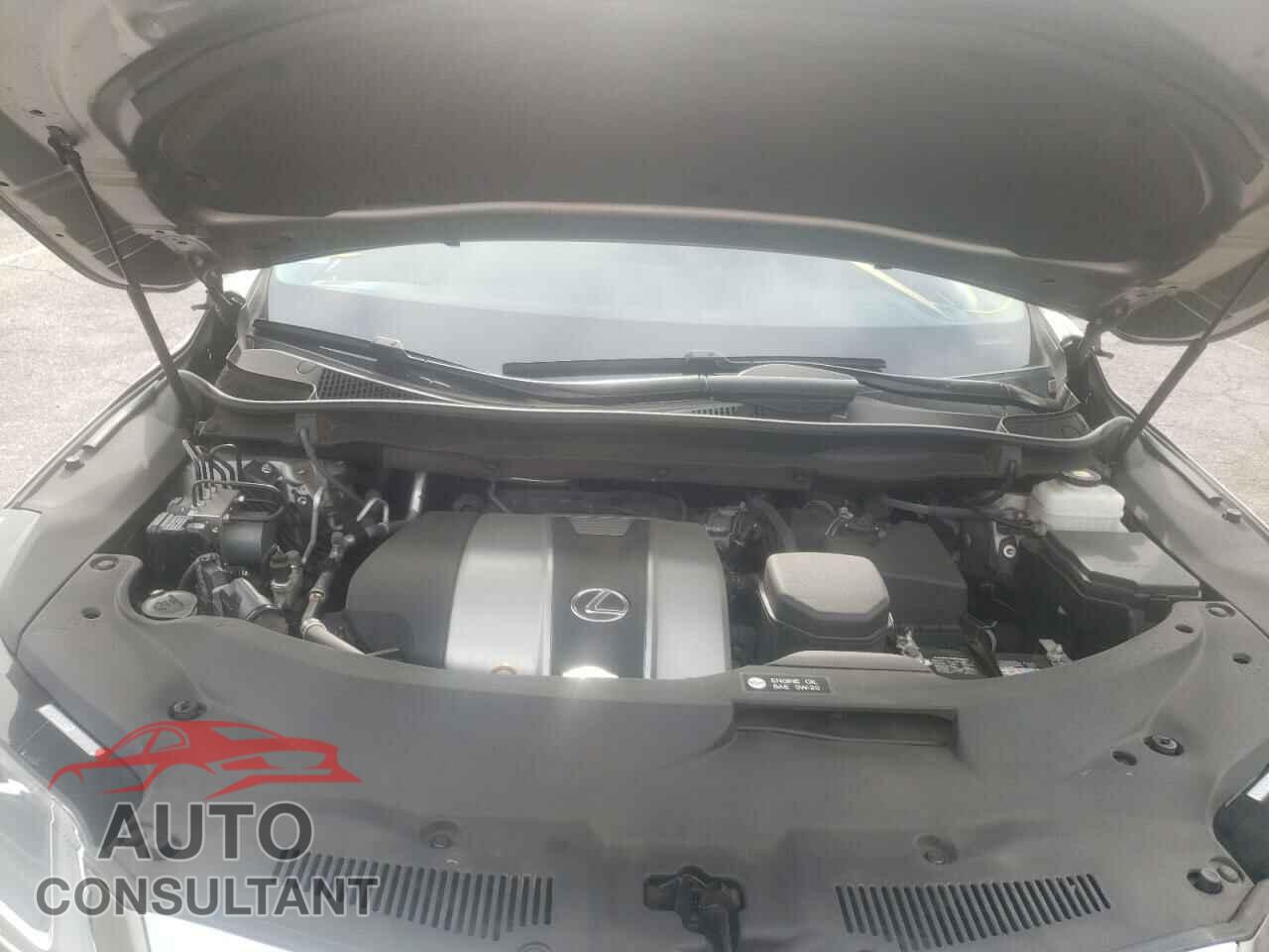 LEXUS RX350 2019 - 2T2ZZMCA3KC135941