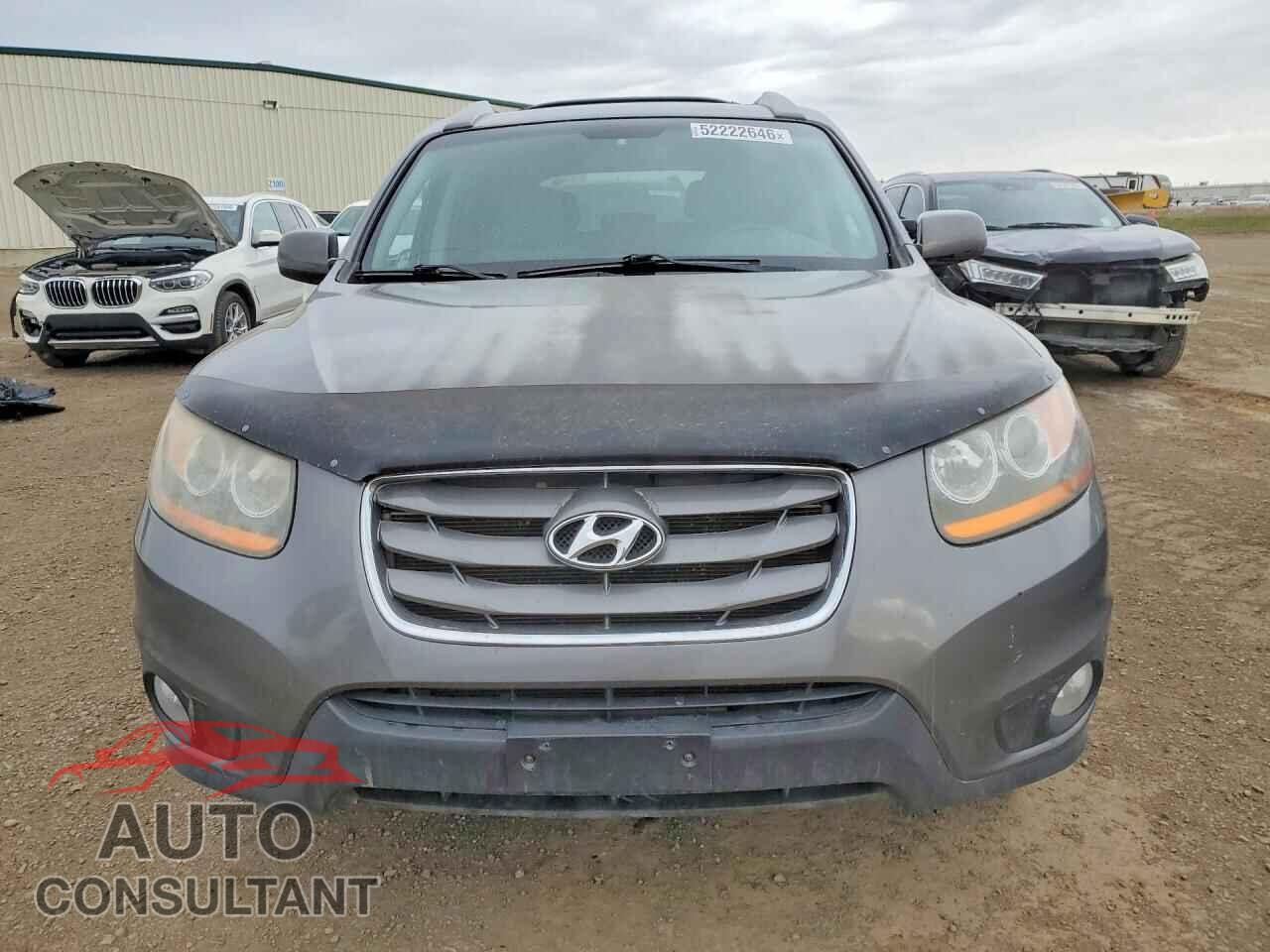 HYUNDAI SANTA FE 2010 - 5NMSGDAG6AH365811