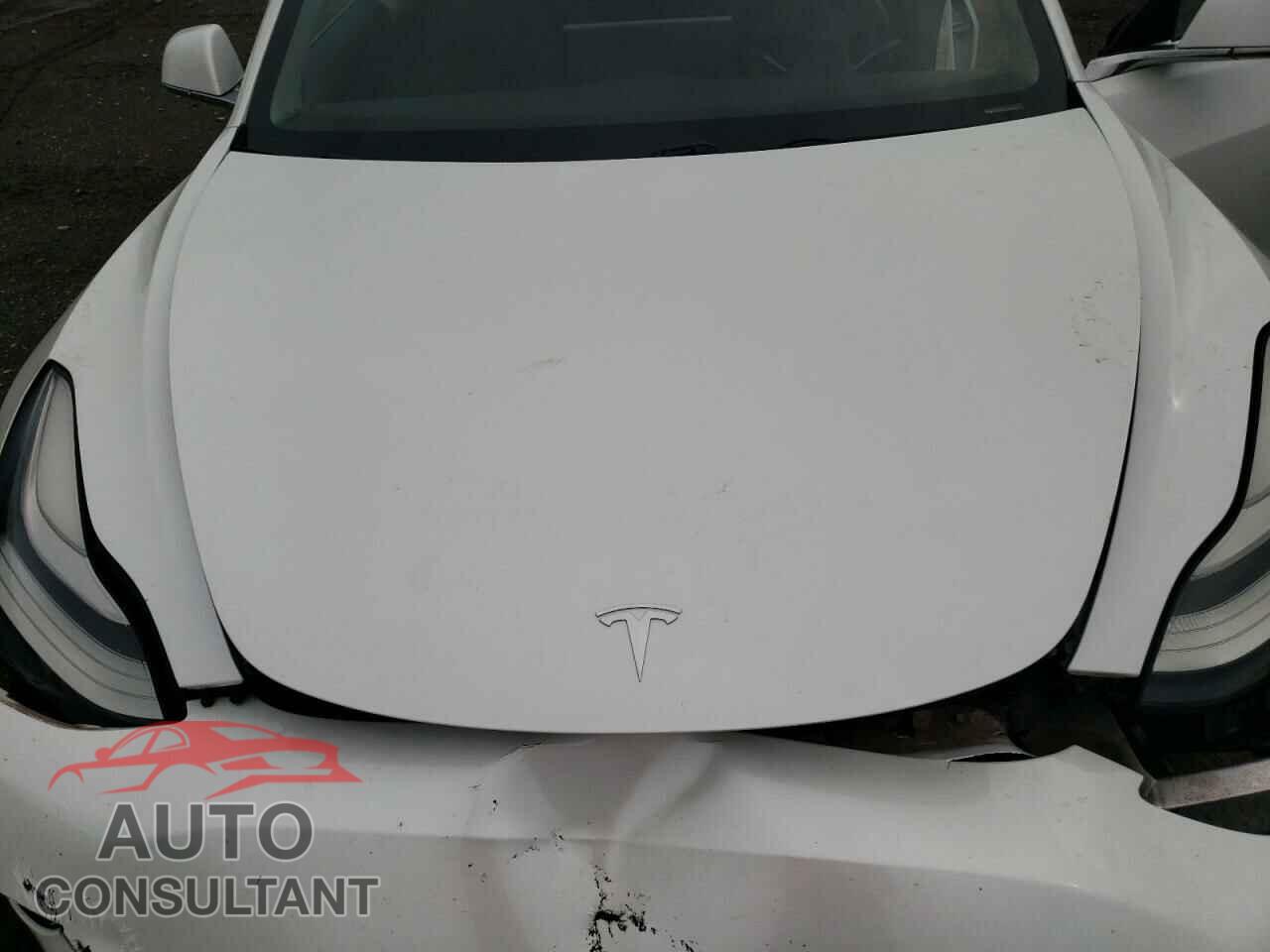 TESLA MODEL 3 2019 - 5YJ3E1EA1KF484593
