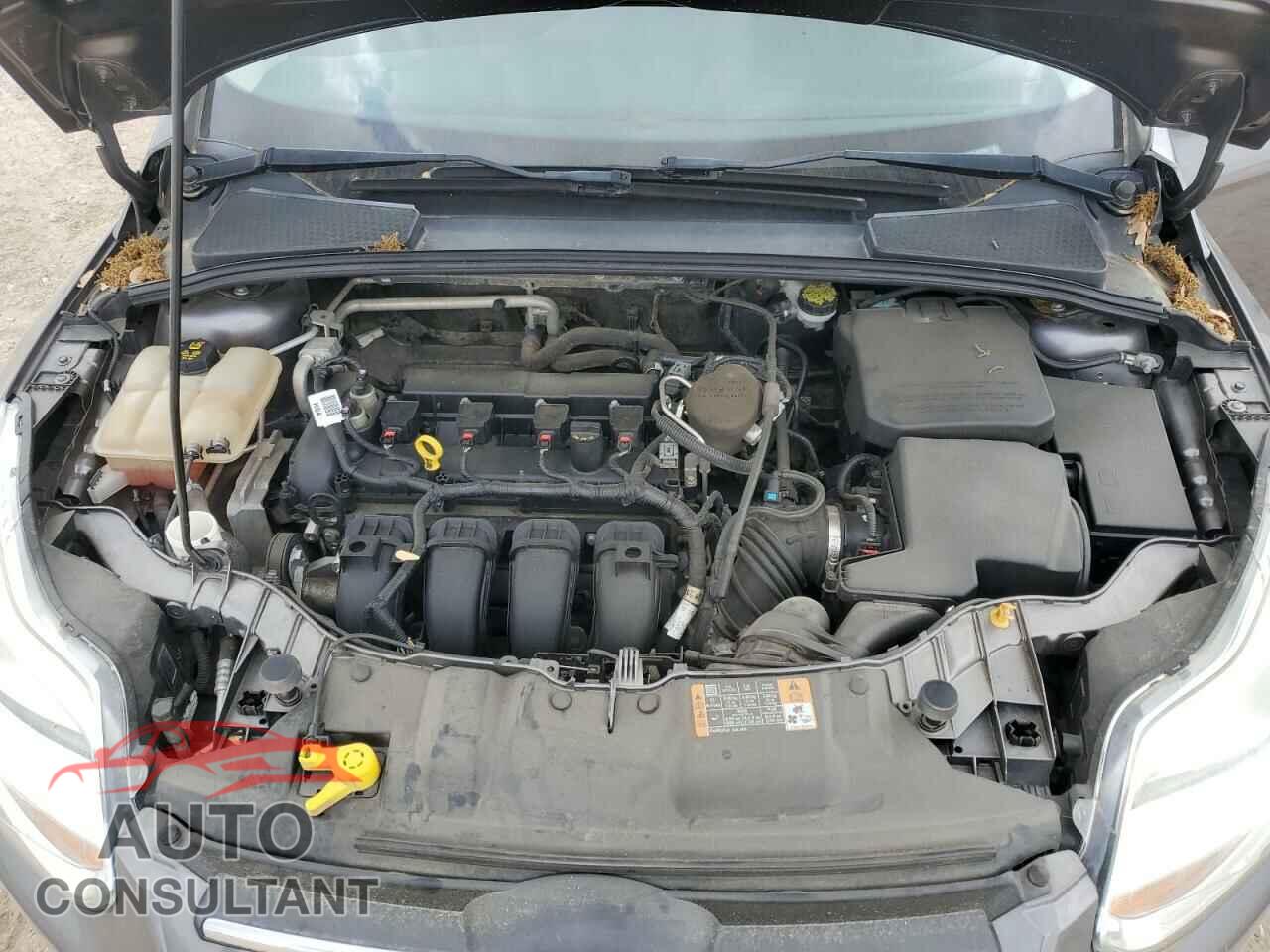 FORD FOCUS 2014 - 1FADP3E22EL452391