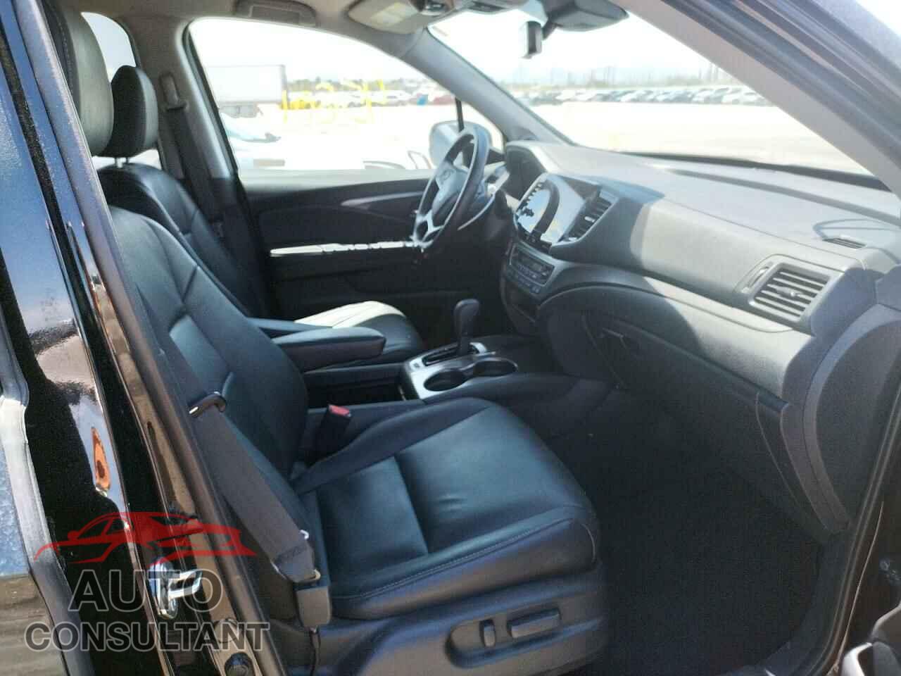HONDA PILOT 2019 - 5FNYF6H59KB053191