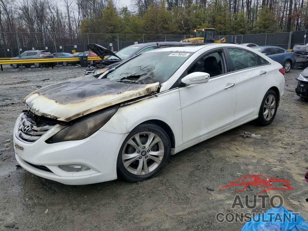 HYUNDAI SONATA 2011 - 5NPEC4AC2BH185669