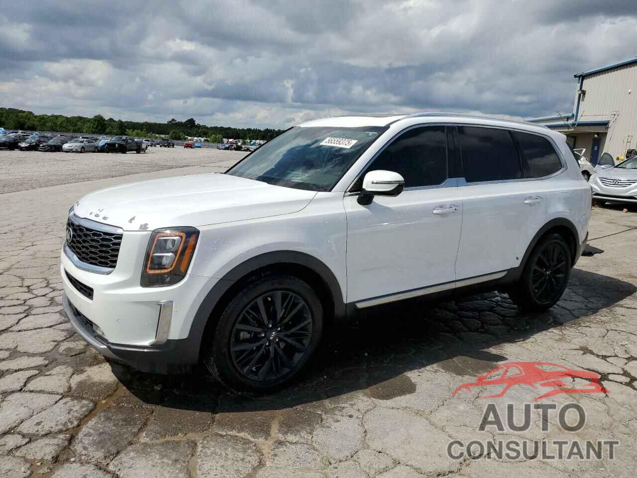 KIA TELLURIDE 2020 - 5XYP5DHC0LG017305