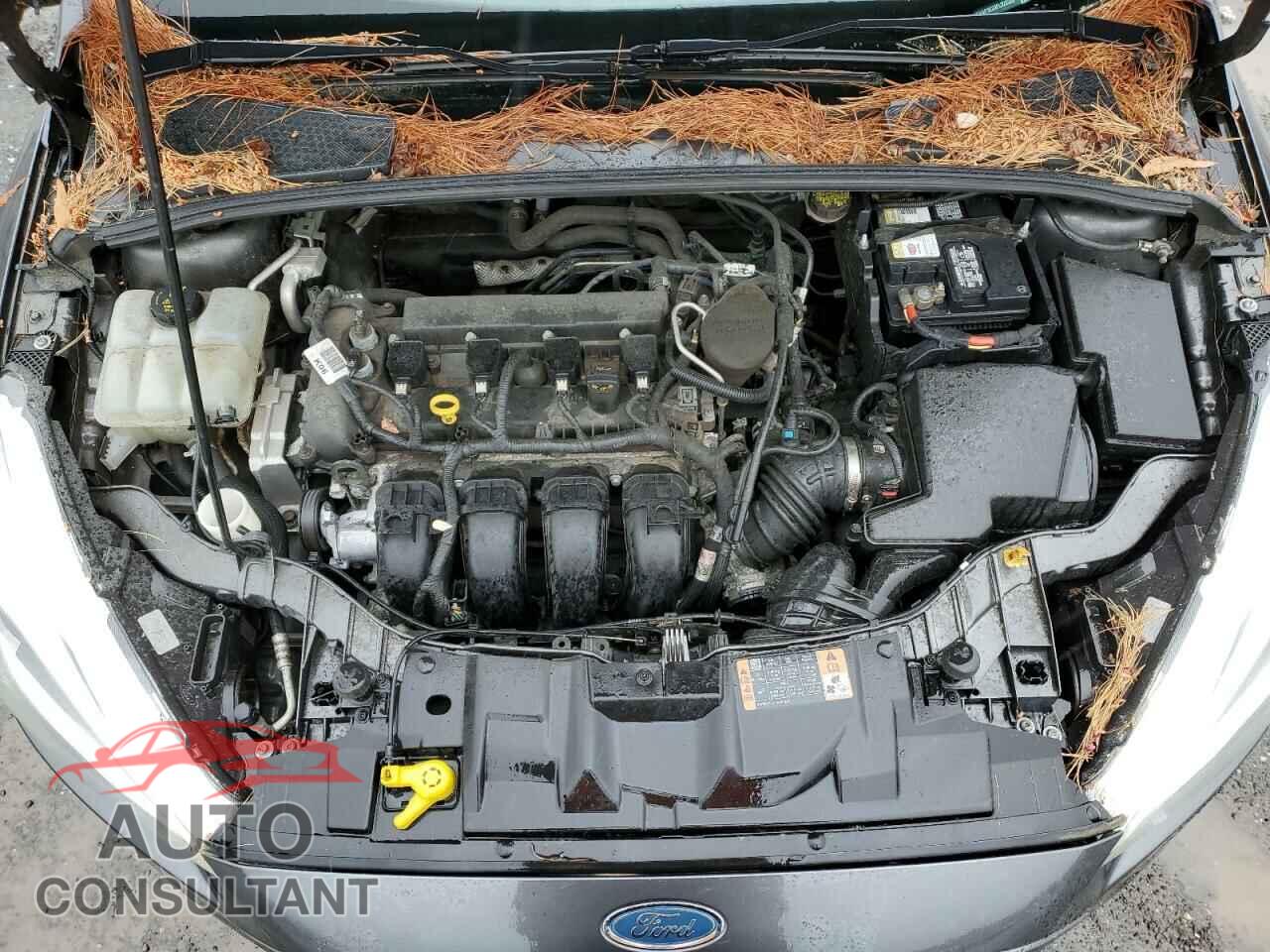 FORD FOCUS 2015 - 1FADP3E23FL322332