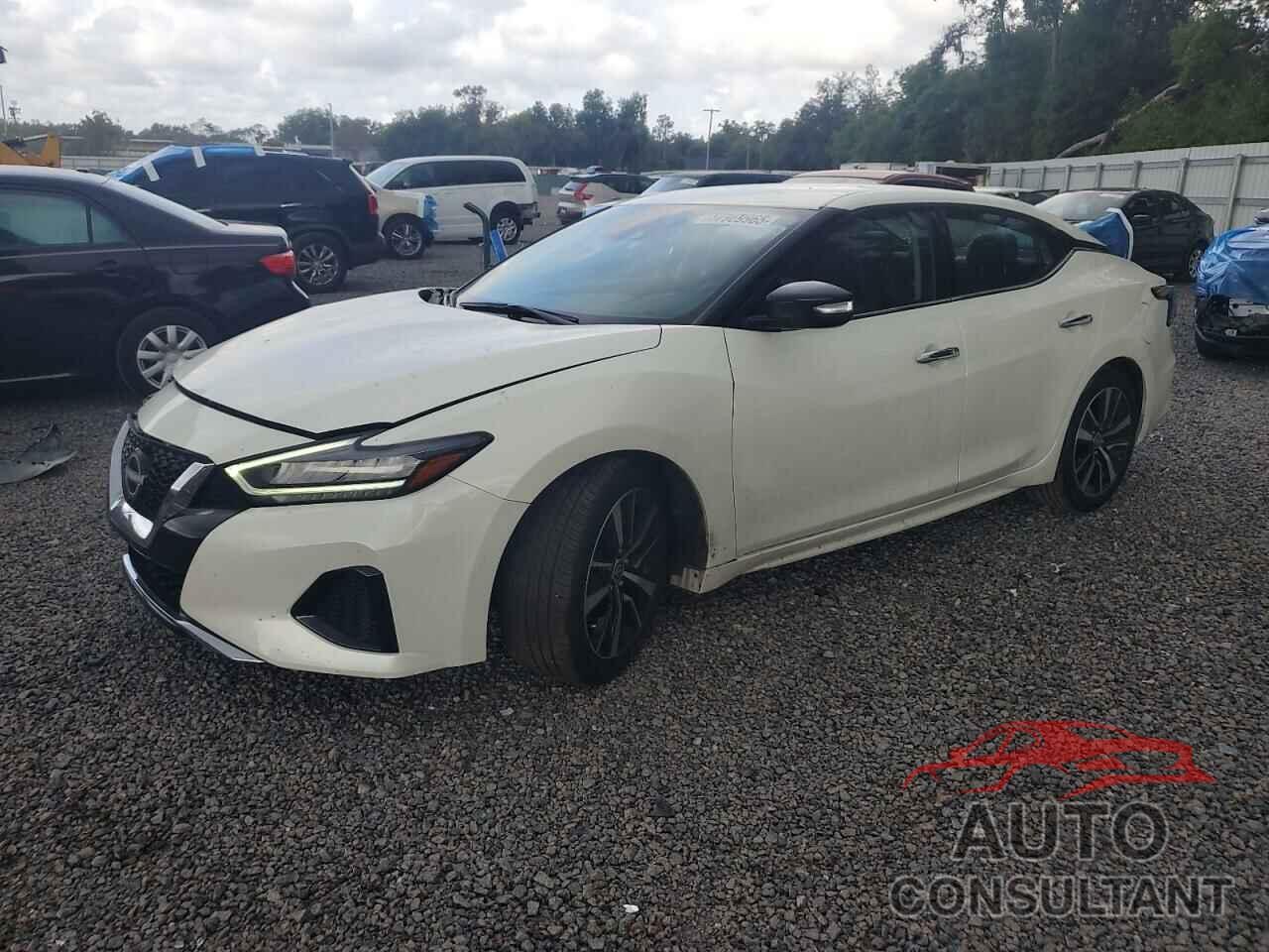 NISSAN MAXIMA 2023 - 1N4AA6CV8PC511191