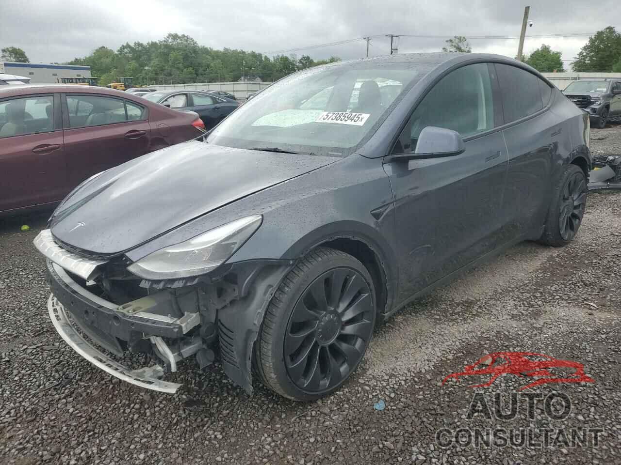 TESLA MODEL Y 2022 - 7SAYGDEF5NF407035