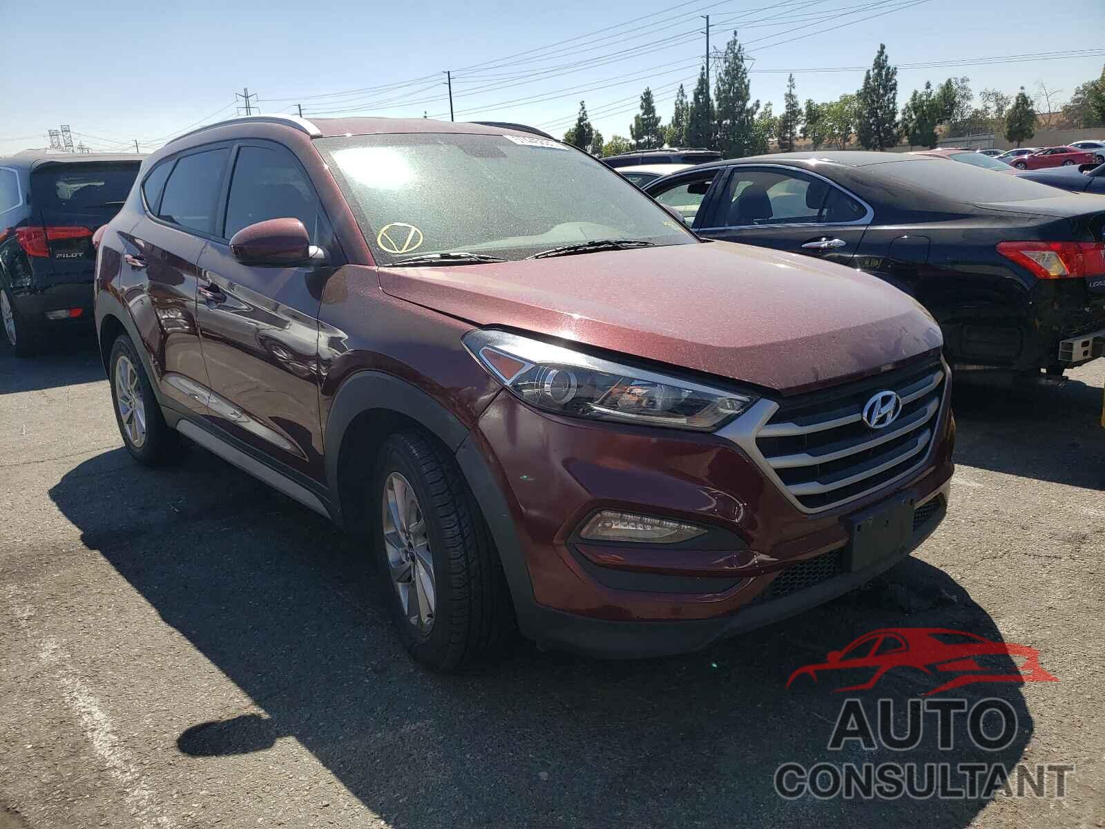 HYUNDAI TUCSON 2018 - KM8J33A41JU616553