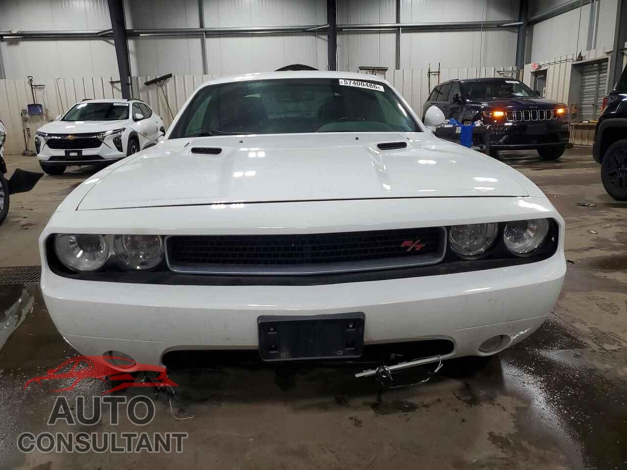 DODGE CHALLENGER 2013 - 2C3CDYBT9DH631276