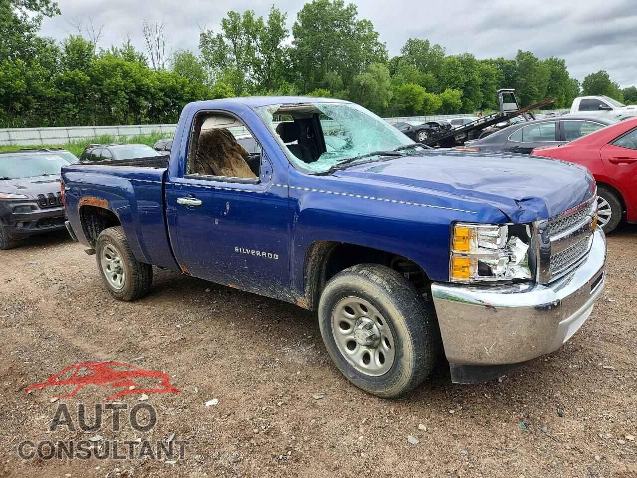 CHEVROLET SILVERADO 2013 - 1GCNCPEX3DZ111719