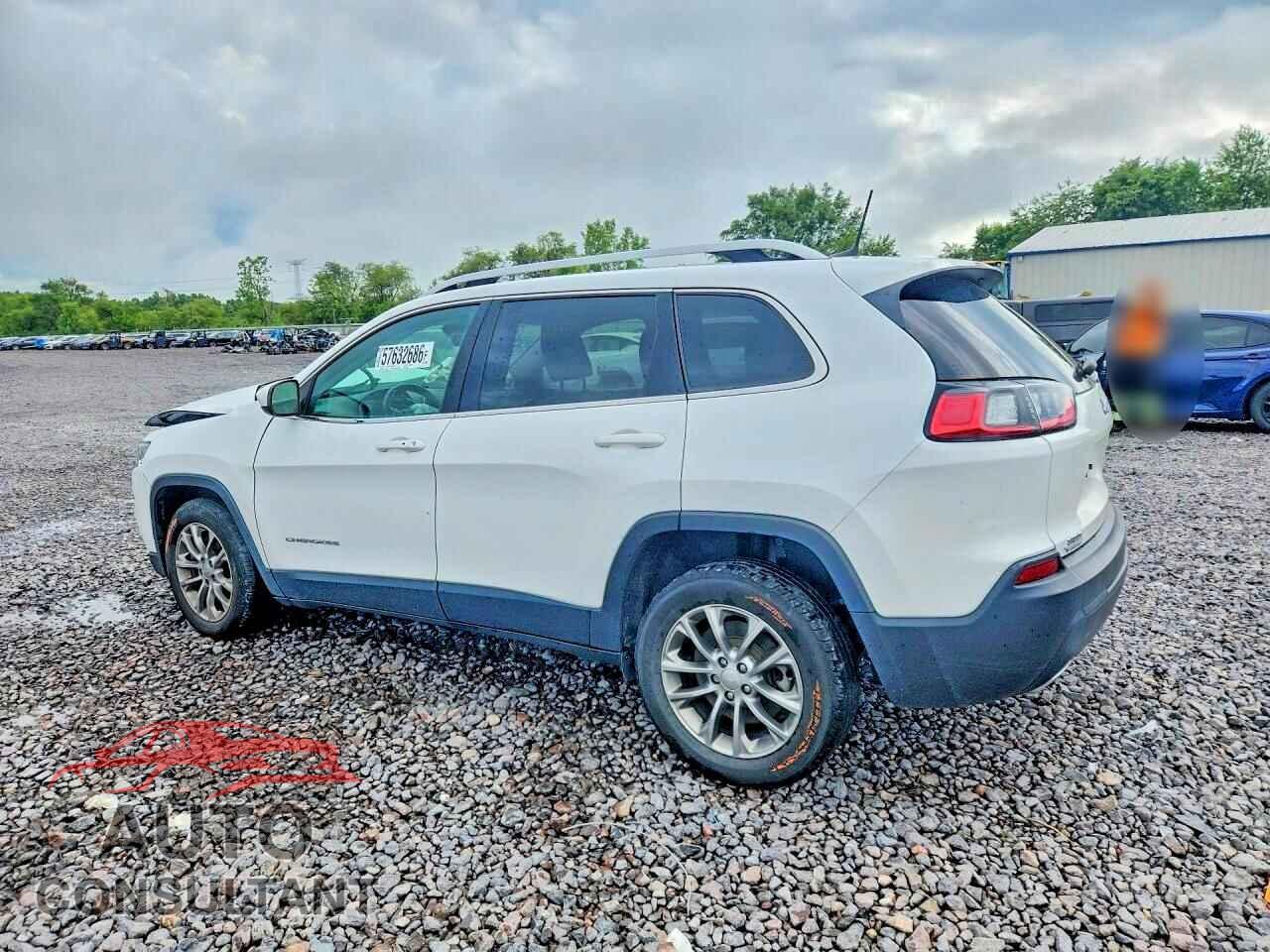 JEEP CHEROKEE 2019 - 1C4PJLLX2KD206695