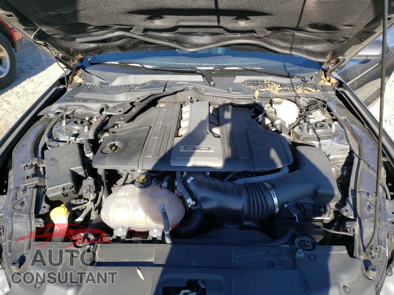 FORD MUSTANG 2019 - 1FA6P8CF2K5187838