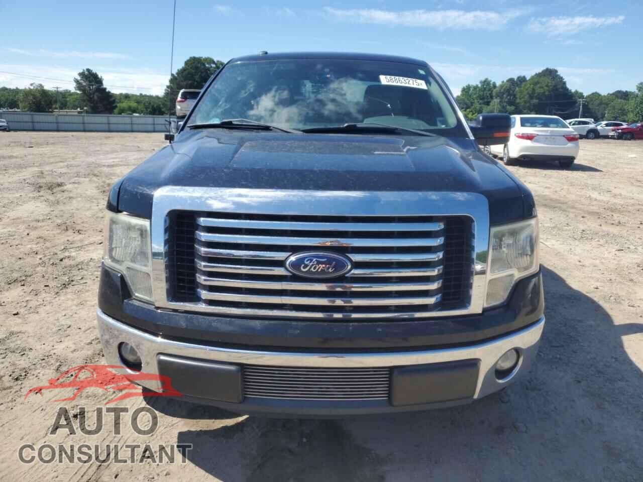 FORD F-150 2011 - 1FTFX1CF2BFC30991