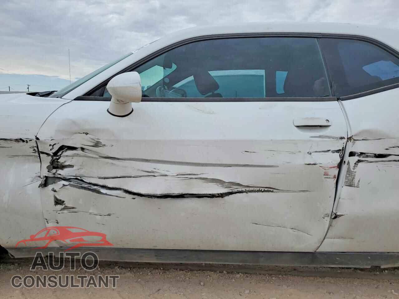 DODGE CHALLENGER 2014 - 2C3CDYAG8EH250301