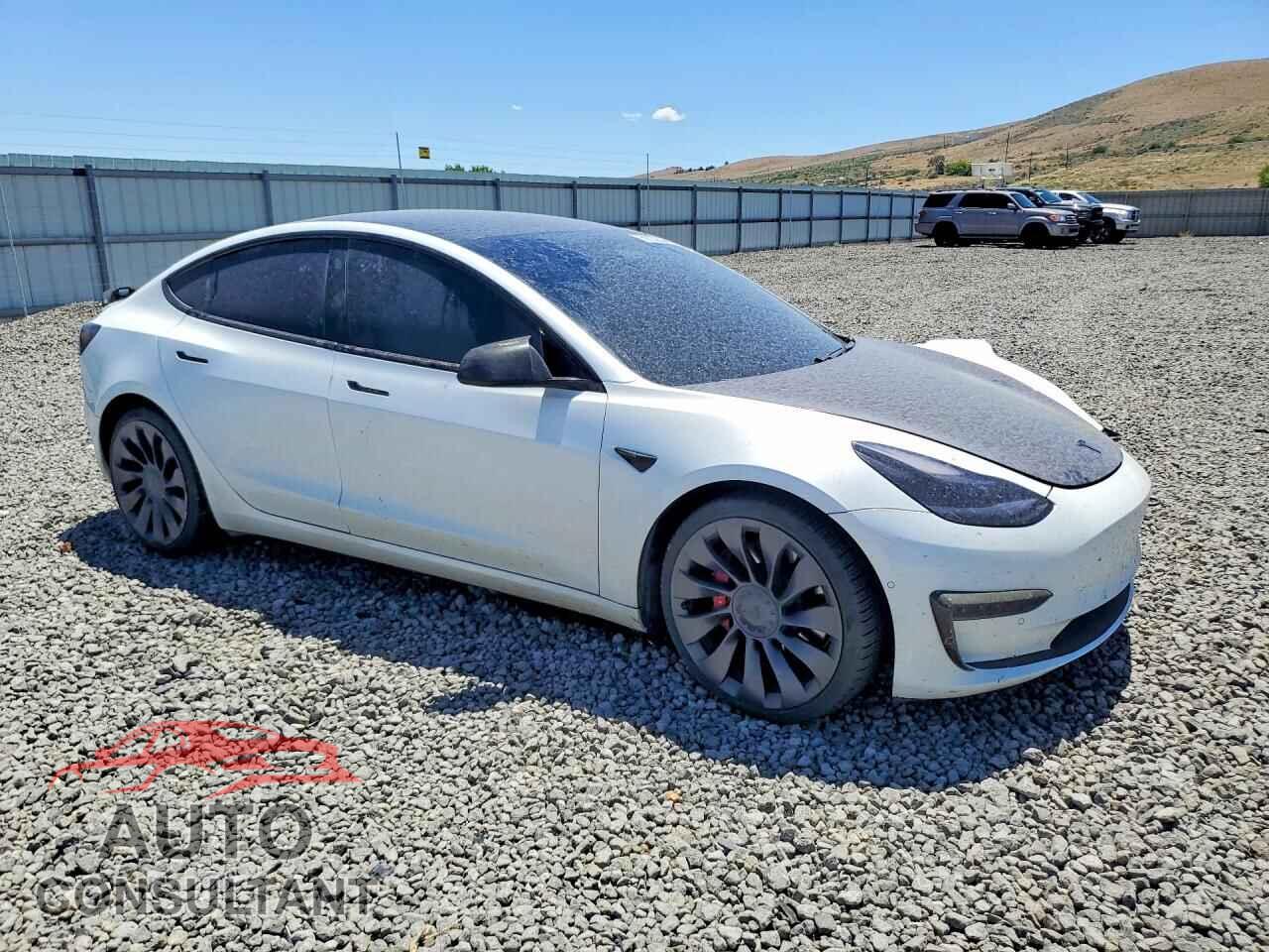 TESLA MODEL 3 2021 - 5YJ3E1EC1MF070881