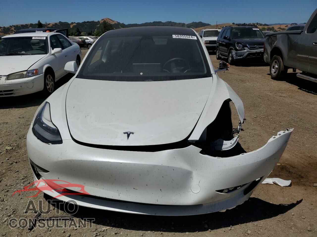 TESLA MODEL 3 2020 - 5YJ3E1EAXLF613576