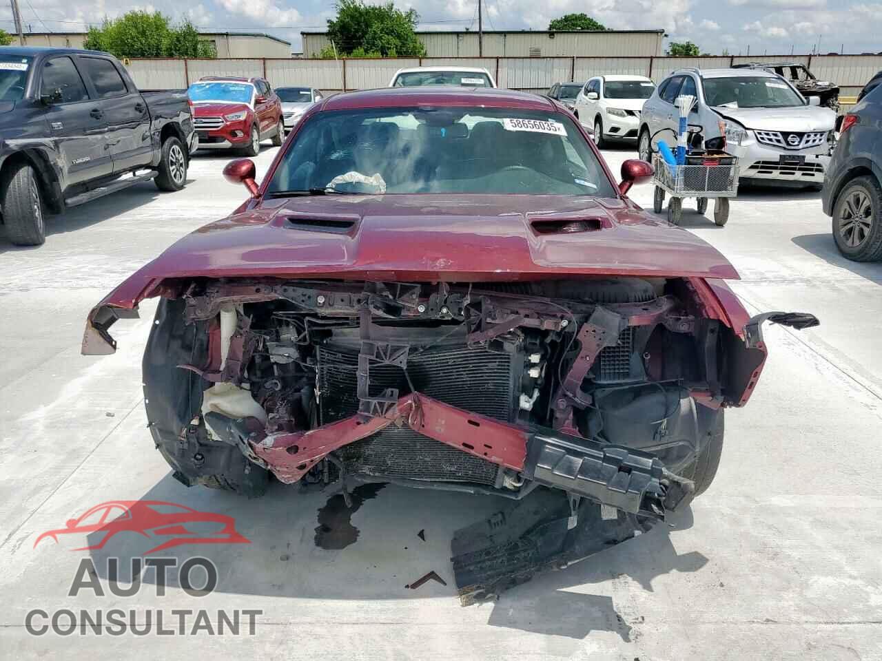 DODGE CHALLENGER 2019 - 2C3CDZAG4KH531691