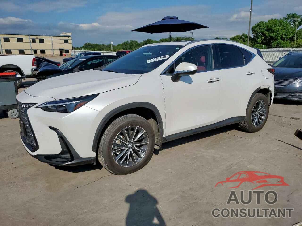 LEXUS NX 350H BA 2024 - 2T2AKCEZ4RC026784