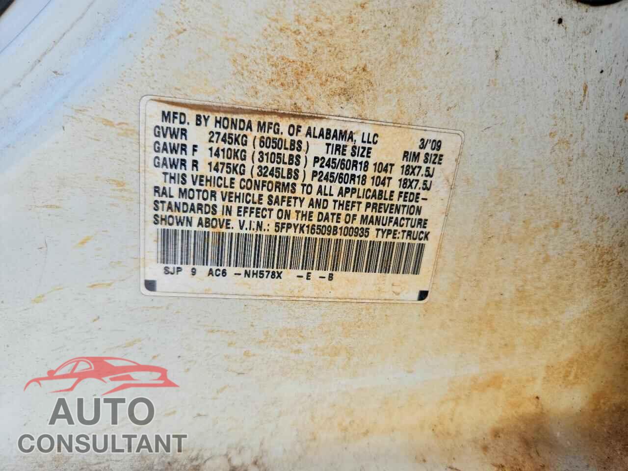 HONDA RIDGELINE 2009 - 5FPYK16509B100935