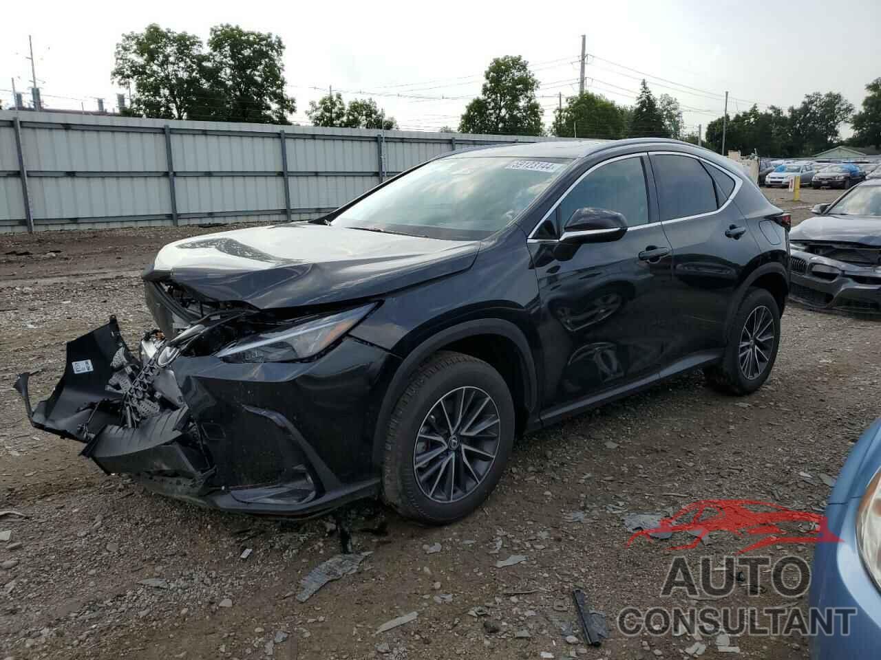 LEXUS NX 350 BAS 2024 - 2T2AGCEZ5RC051551