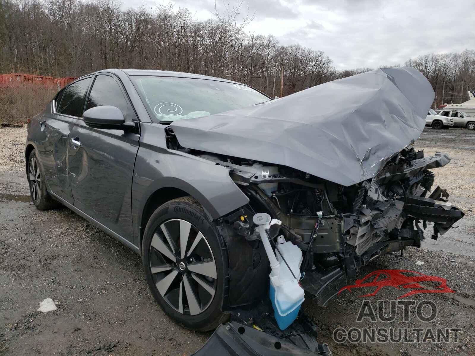 NISSAN ALTIMA SV 2019 - 1N4BL4DV7KC139711