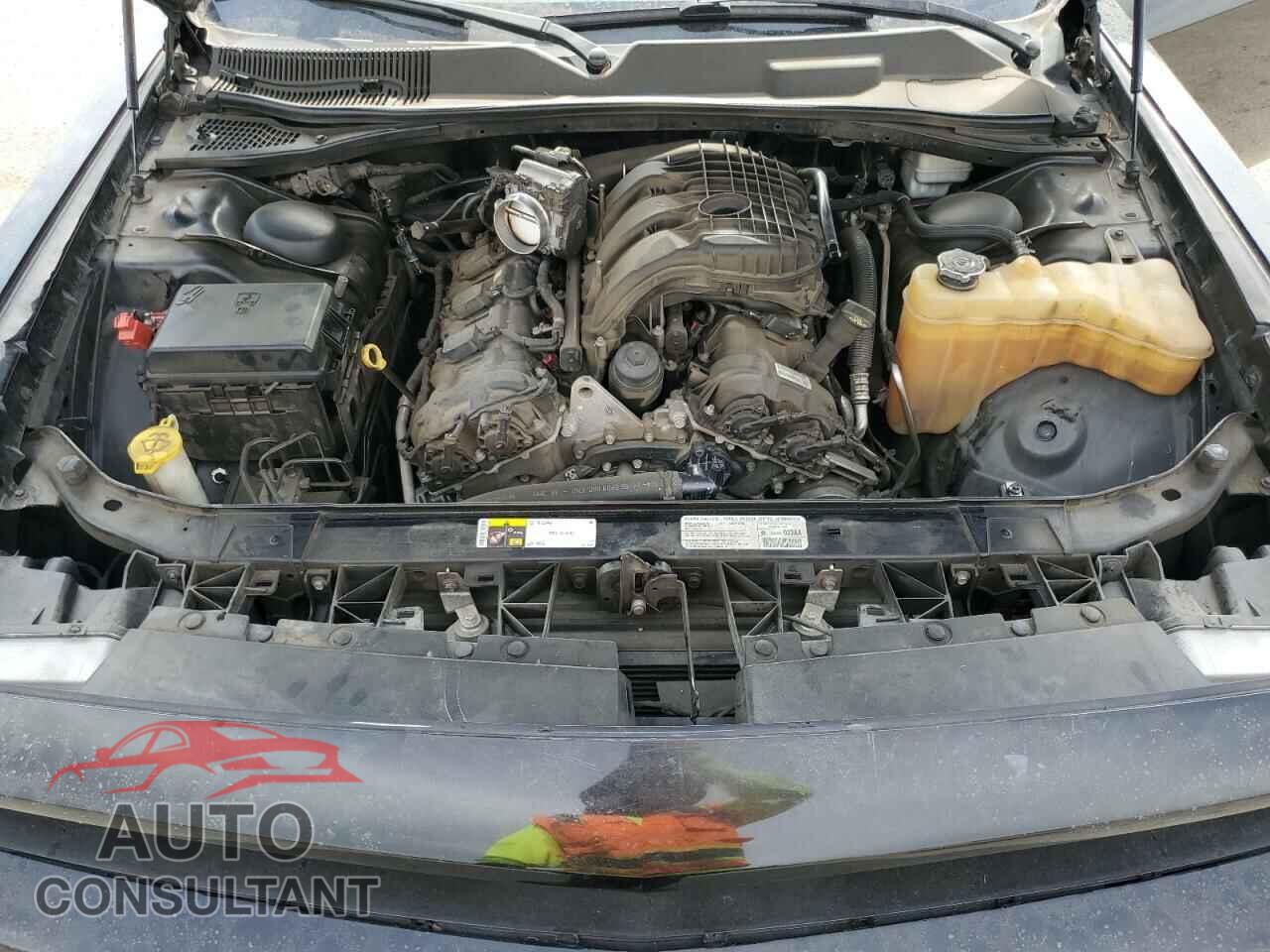 DODGE CHALLENGER 2013 - 2C3CDYAG3DH536233