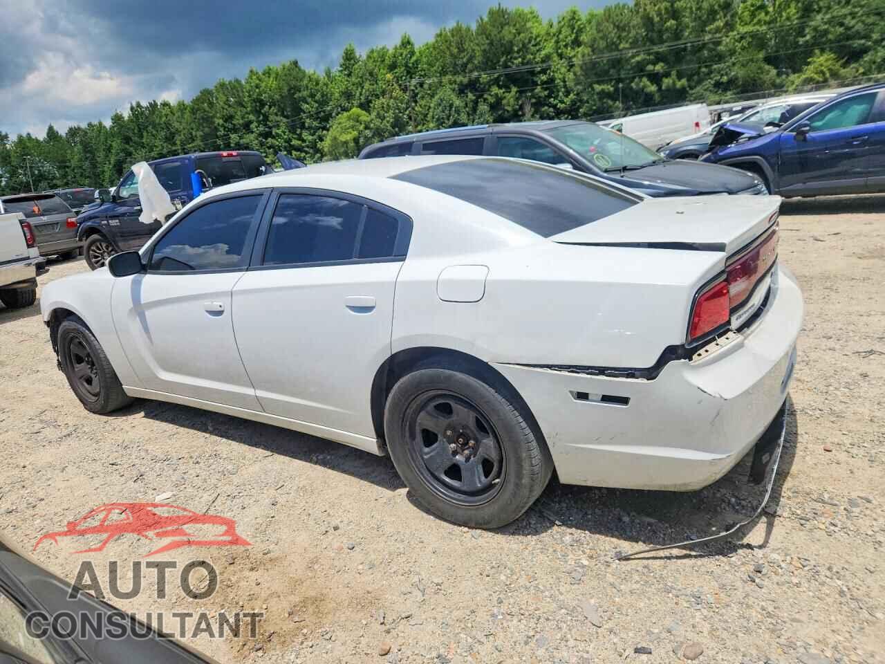 DODGE CHARGER 2014 - 2C3CDXAT4EH362410