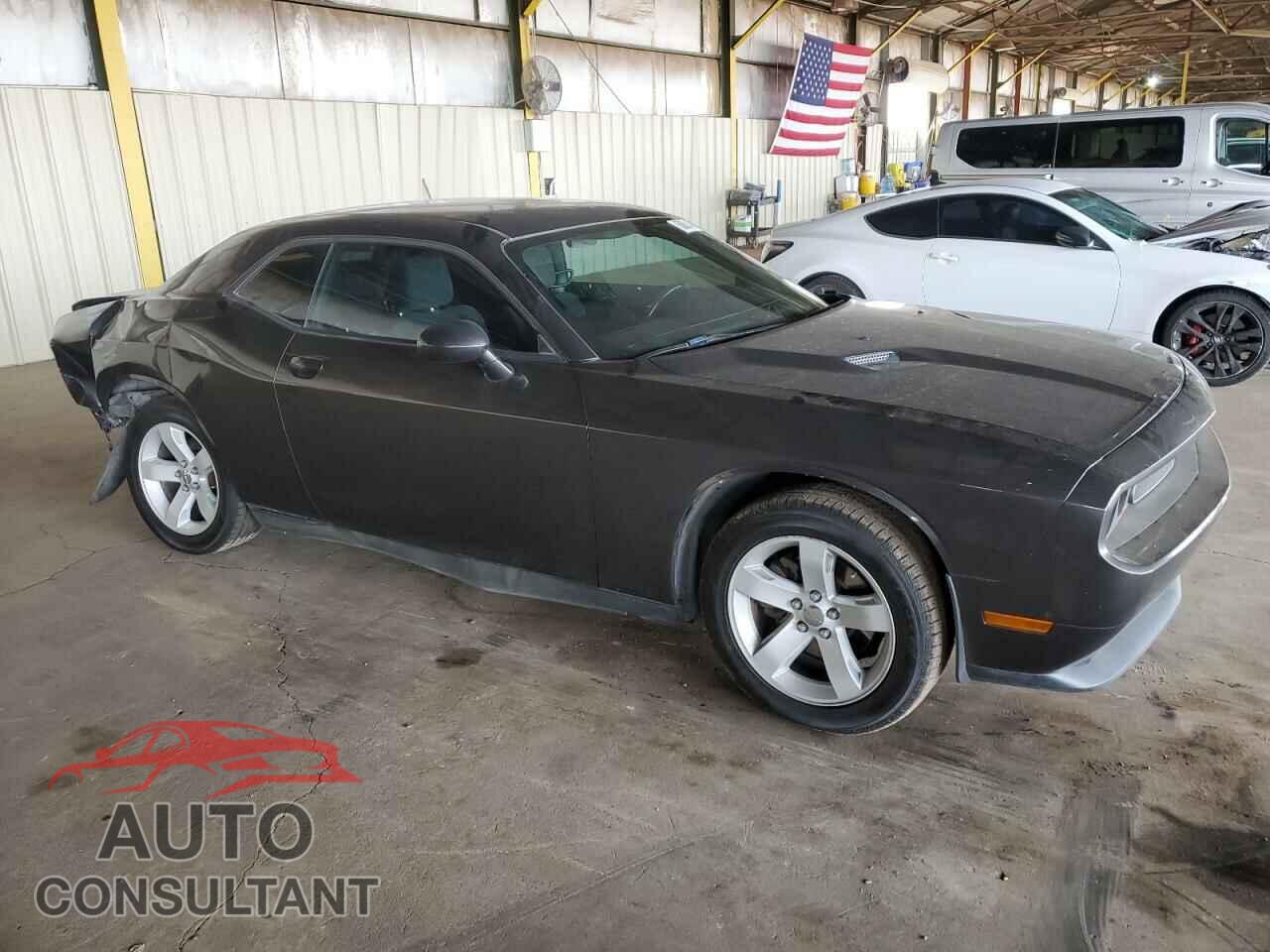 DODGE CHALLENGER 2013 - 2C3CDYAG1DH607266
