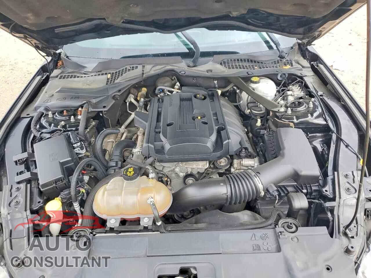 FORD MUSTANG 2018 - 1FATP8UHXJ5110104