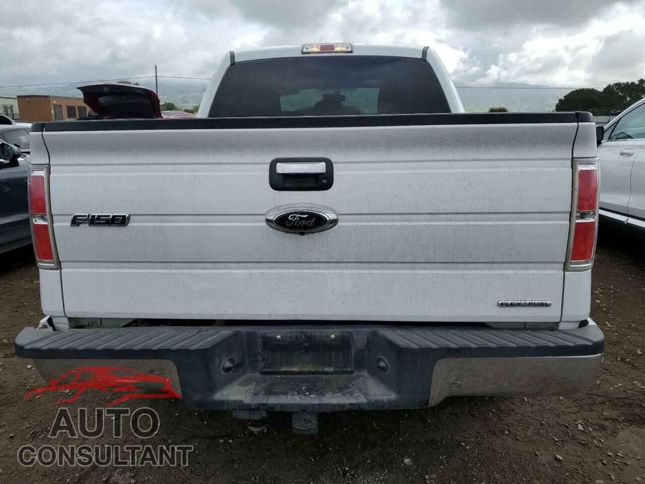FORD F-150 2013 - 1FTFW1CF5DFD27219