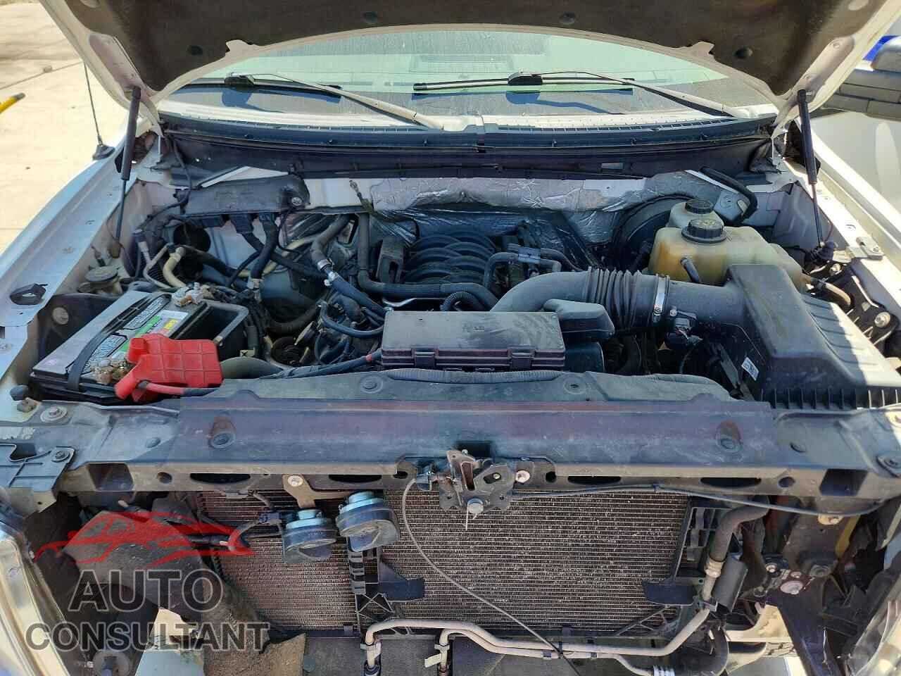 FORD F150 2012 - 1FTFX1CF4CFB56507
