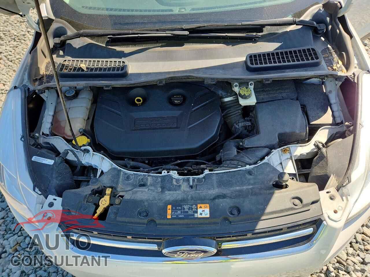 FORD ESCAPE 2013 - 1FMCU9H96DUB38533