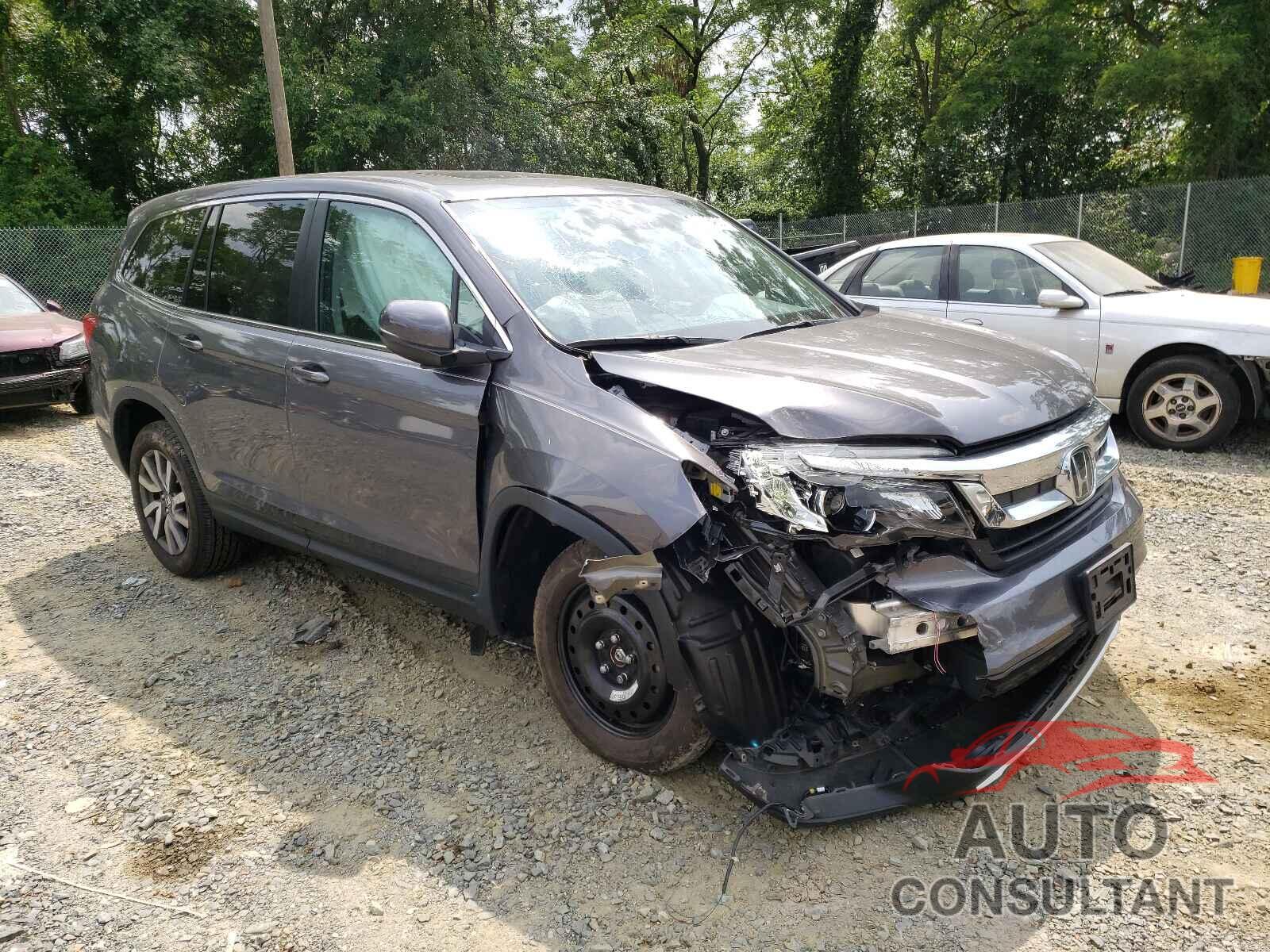 HONDA PILOT 2019 - 5FNYF6H59KB029702