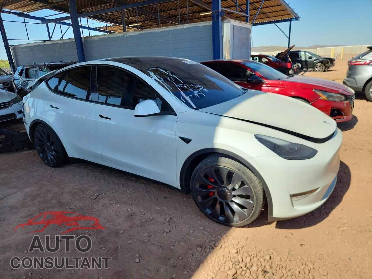 TESLA MODEL Y 2024 - 7SAYGDEF8RF052092