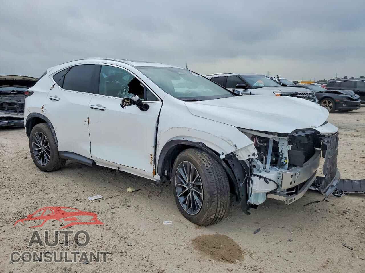 LEXUS UNKNOWN 2026 - 2T2GGCEZXTC097720