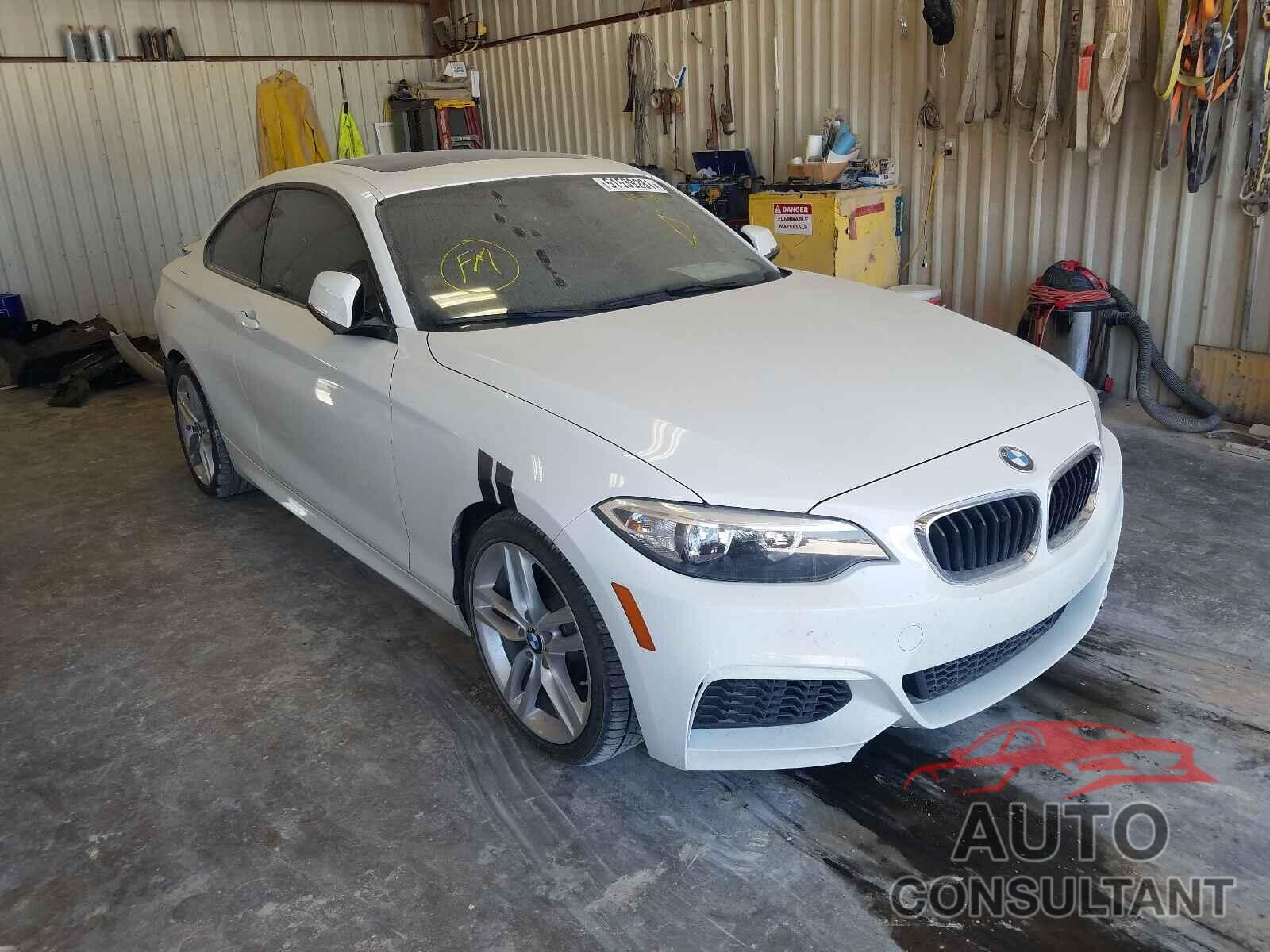 BMW 2 SERIES 2016 - WBA1F9C53GV546493