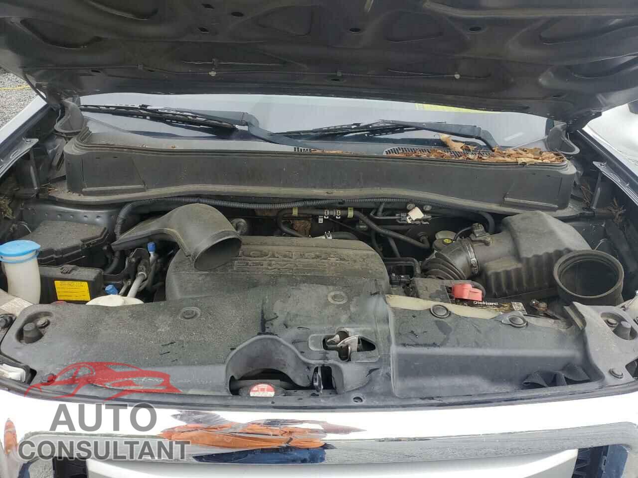 HONDA PILOT 2017 - 5FNYF4H56BB065805