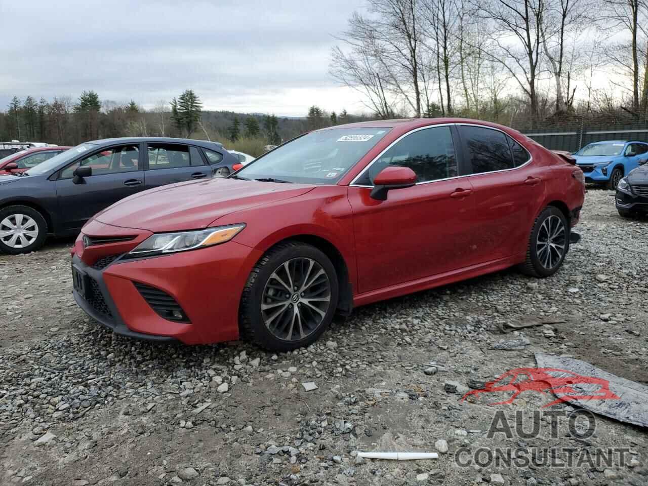 TOYOTA CAMRY 2019 - 4T1B11HK3KU290288