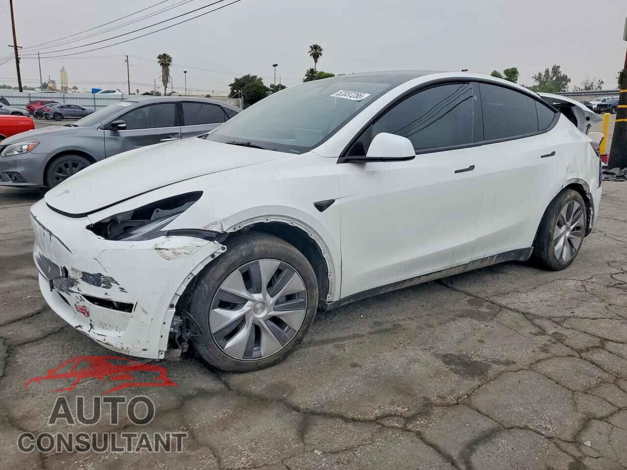 TESLA MODEL Y 2024 - 7SAYGDED6RF095408