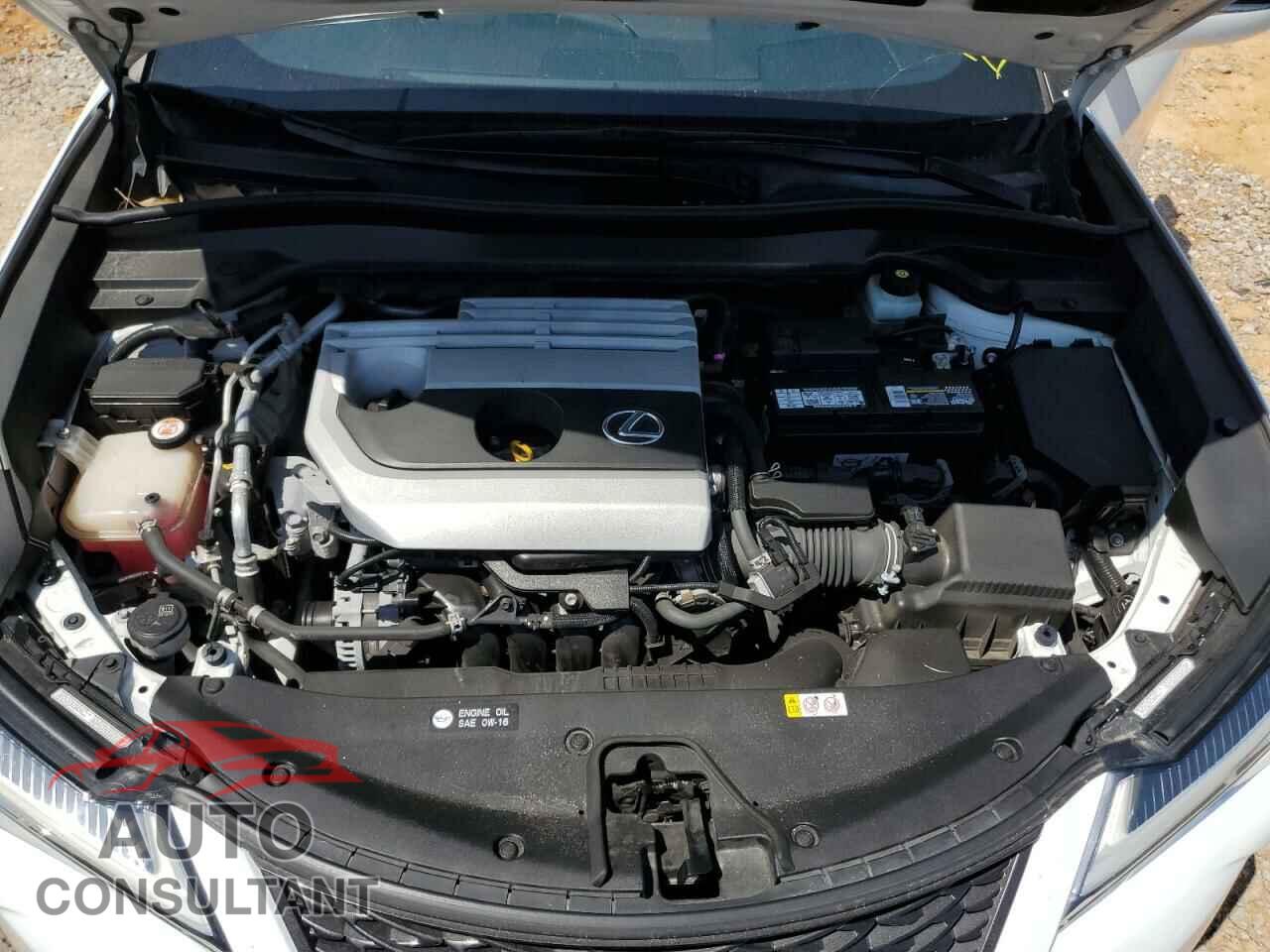 LEXUS UX 200 2019 - JTHY3JBH0K2019012