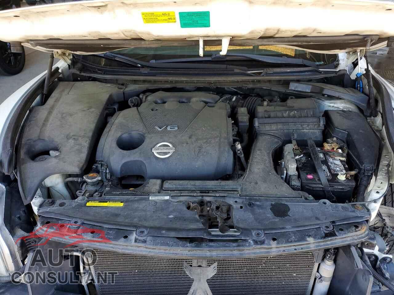 NISSAN MAXIMA 2011 - 1N4AA5AP8BC831781