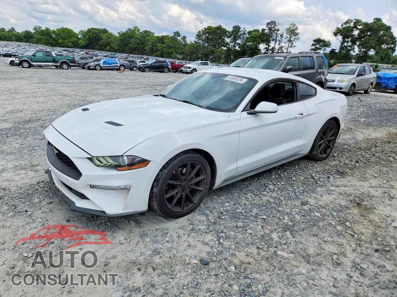 FORD MUSTANG 2019 - 1FA6P8TH5K5184532