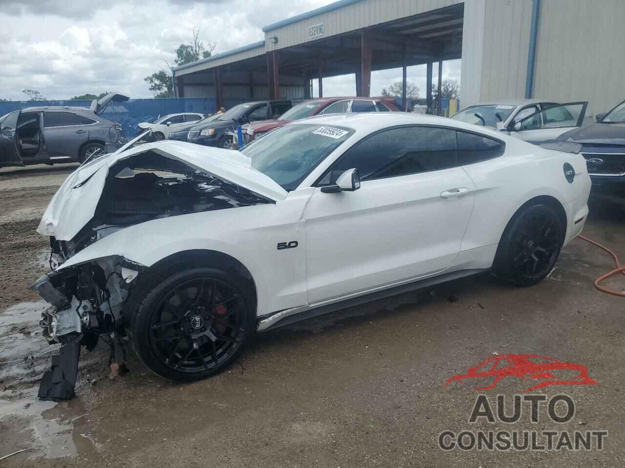 FORD MUSTANG 2017 - 1FA6P8CF5H5343203