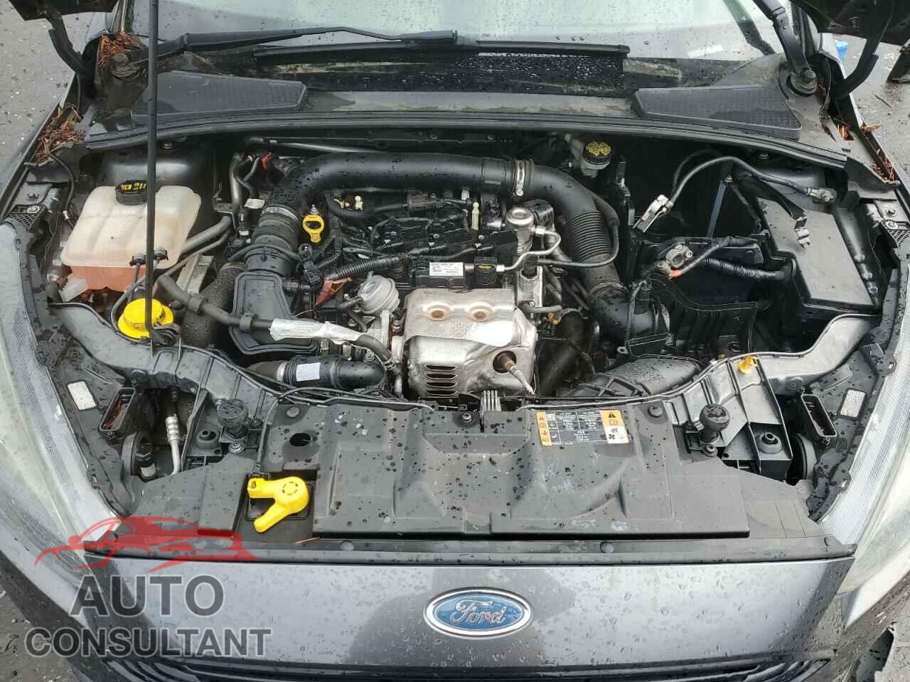 FORD FOCUS 2016 - 1FADP3FE6GL201448